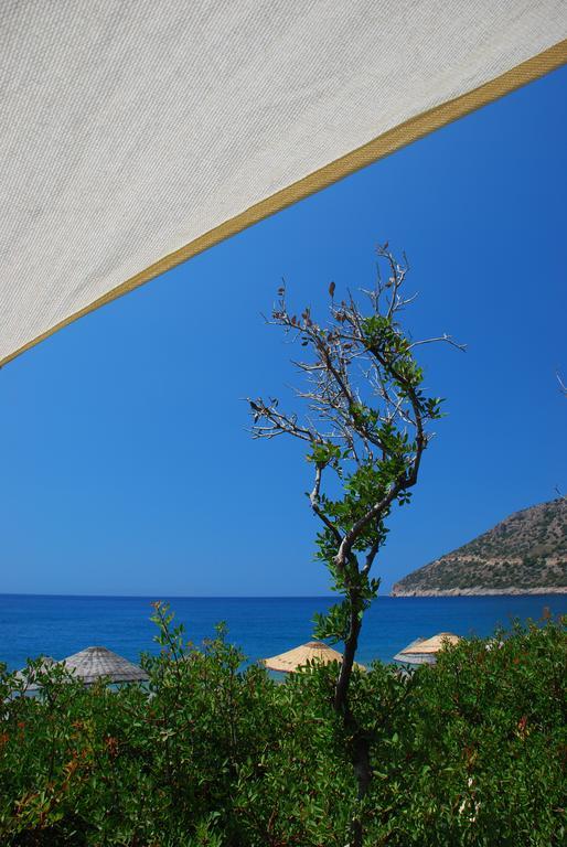 Hoppala Pension Datca Exterior photo